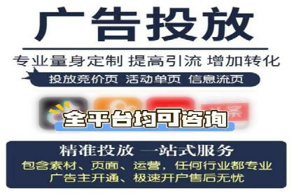 SEM广告投放中的数据监控与调整策略——以某品牌营销案例为例